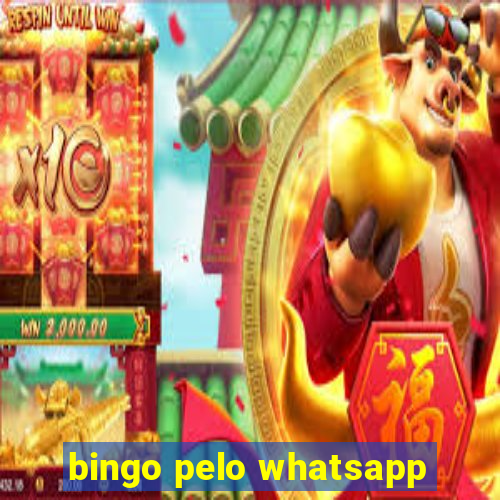 bingo pelo whatsapp